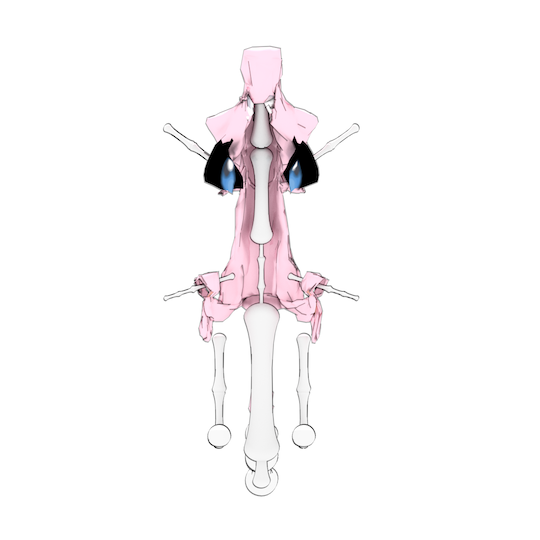 Bone Mew Pokemon Bones (2016)